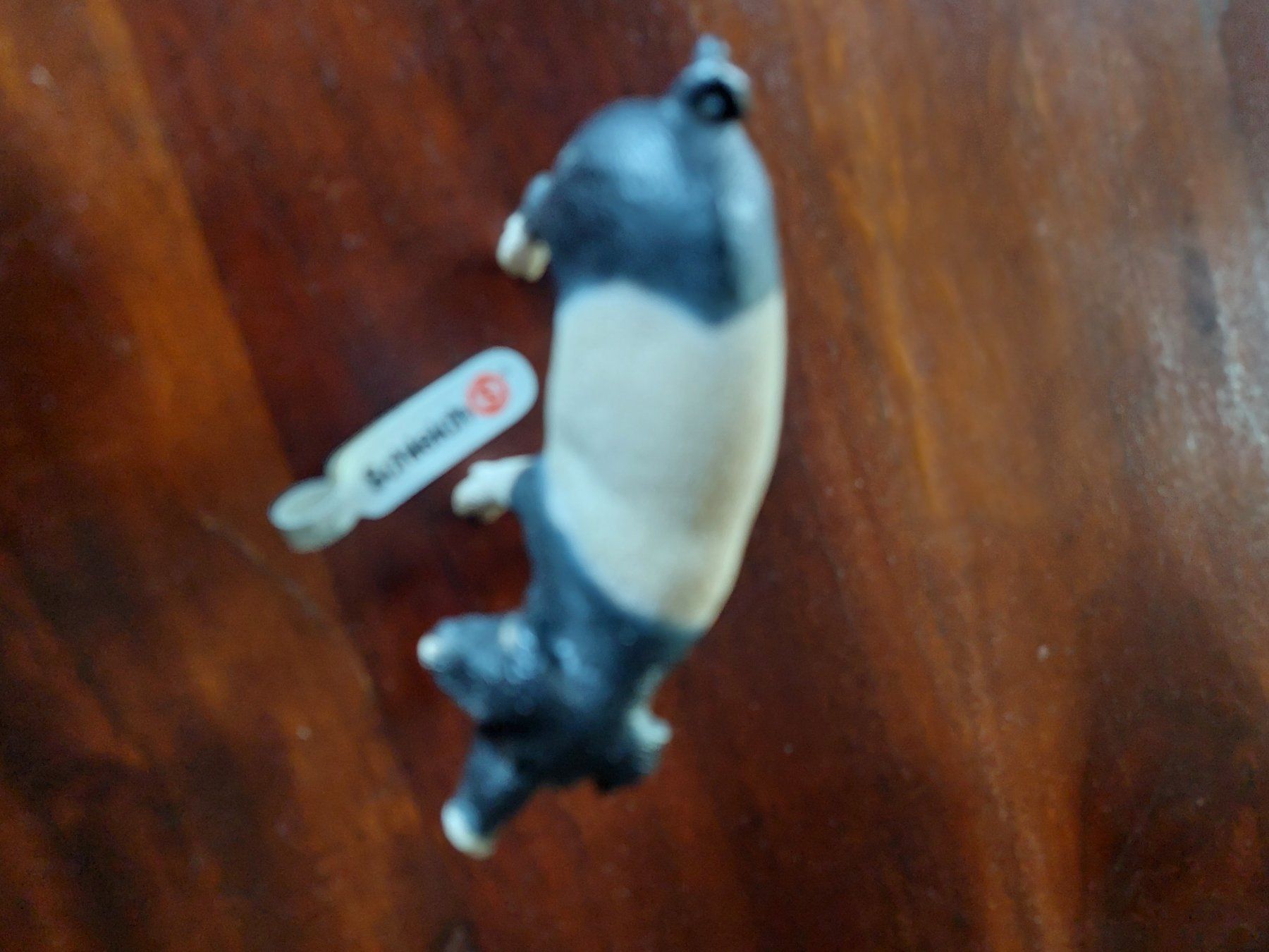 Schleich Spielzeuge: Schleich Schwein – Neu und originalverpackt aus Beckenried von Havacola 3