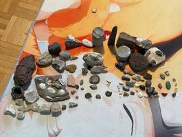 Konvolut Steine und Fossilien, Sammlung diverse Minerale