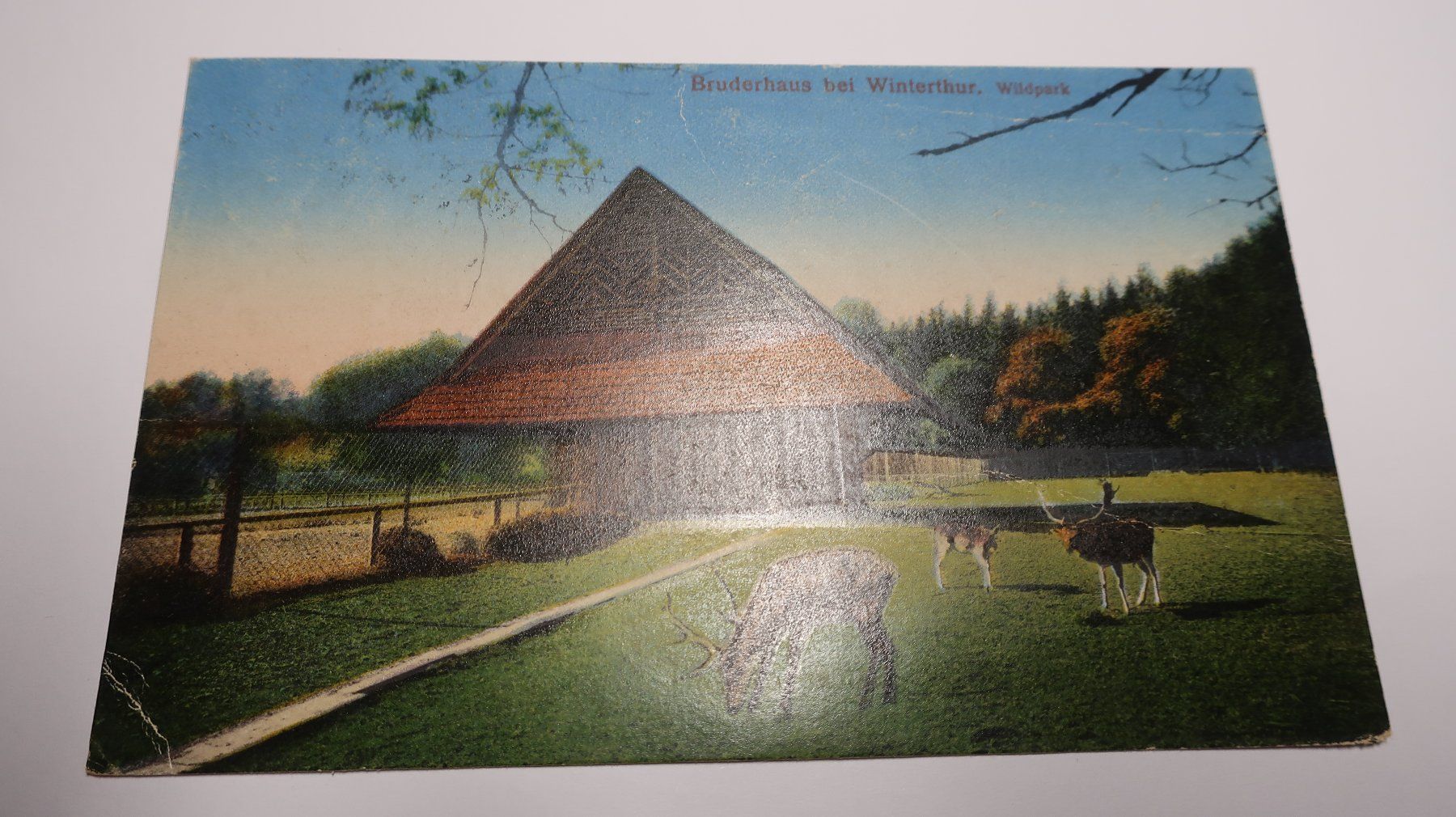 Cartoline postali: Bruderhaus bei Winterthur Wildpark – Usato da Cormoret venduto da Pascalll2001 1