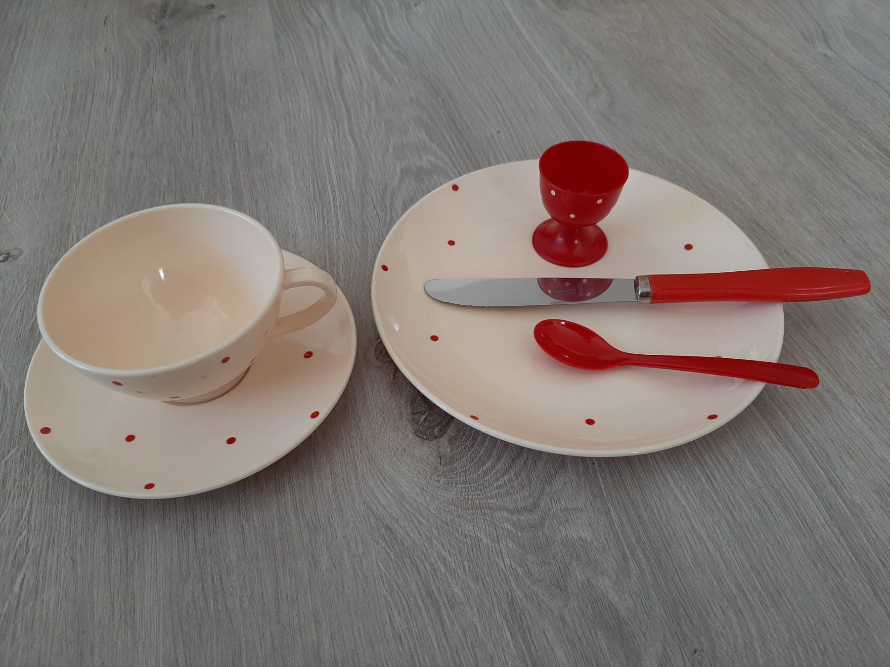 Set di piatti: 50er 60er Mid Century Tablett Gedeck Oldtimer Camping Set – Usato da Erschwil venduto da Karabella 7