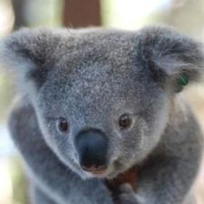 Profile image of dudley9