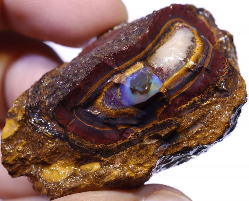 Edelsteine: Yowah Opal Nuss Roh 520.00Cts. – Neu (gemäss Beschreibung) aus Bern von Grindelwaldaus 1