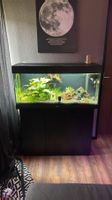 Aquarium