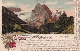 Rosenlaui  BE  -  LITHO mit Edelweiss & Alpenrosen   um 1904