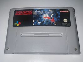 Super Nintendo (SNES) Spiel - Terranigma