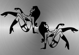 Fun Aufkleber Tuning Sticker Decal 447