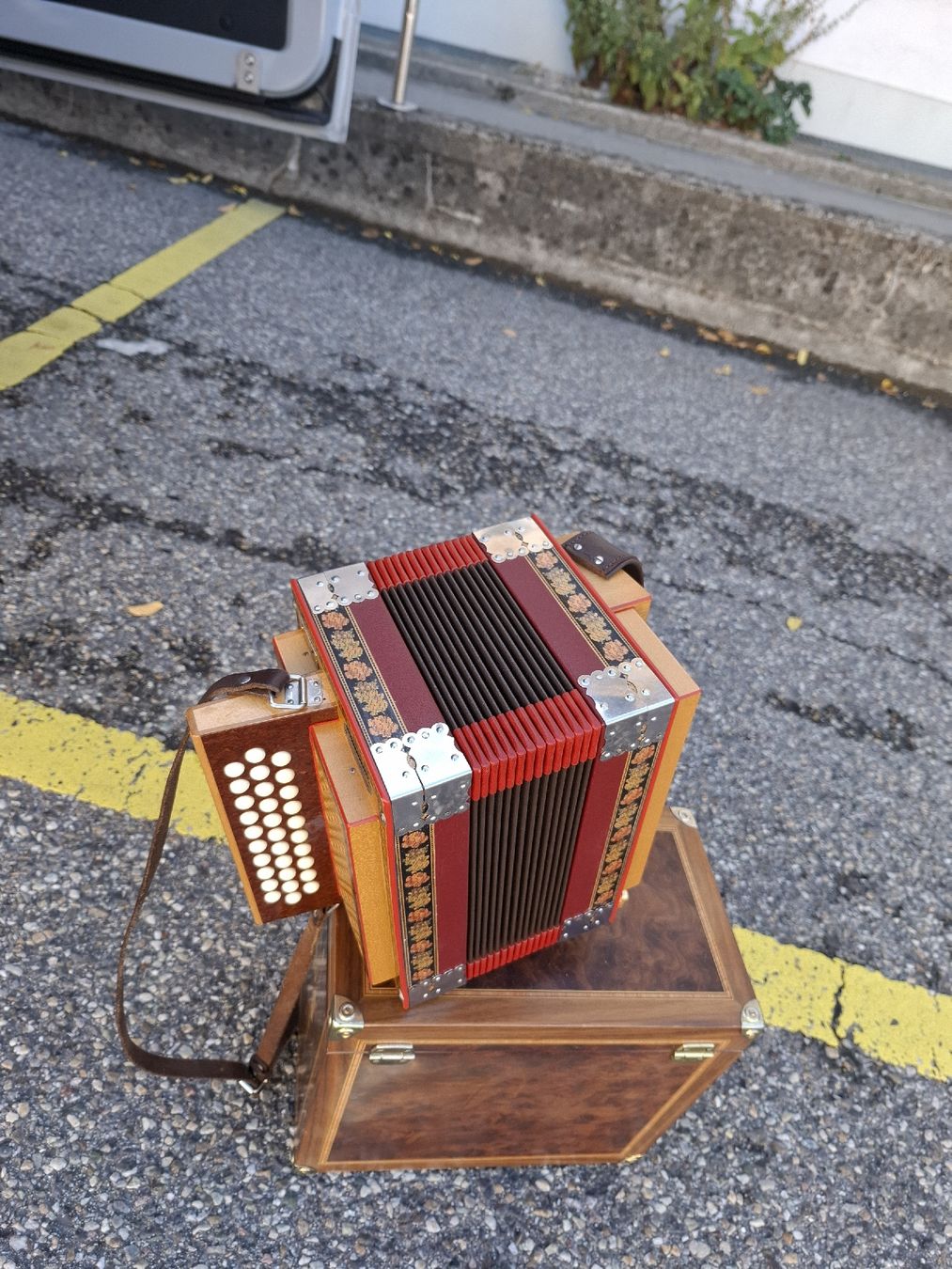 Strumenti musicali: kollegger stadivarius orgeli – Usato da Villeneuve venduto da BibiVintage 1