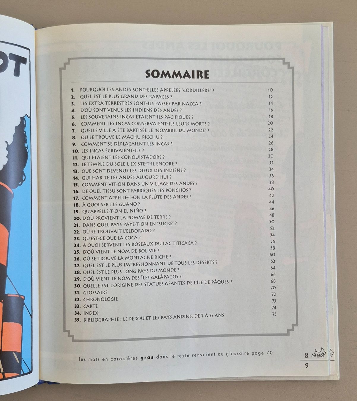 Fumetti: Tintin - Les carnets de route - Le Pérou – Usato da Grand-Lancy venduto da loi_599y 4