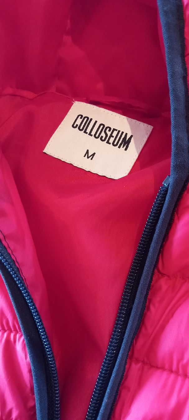 Giacche: Colosseum Daunenjacke Gr. M Übergangsjacke – Nuovo (secondo la descrizione) da Rebstein venduto da bestforyou 1