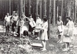 Hönggerwald 1963, zwei Privatbilder einer Schulklasse 1963