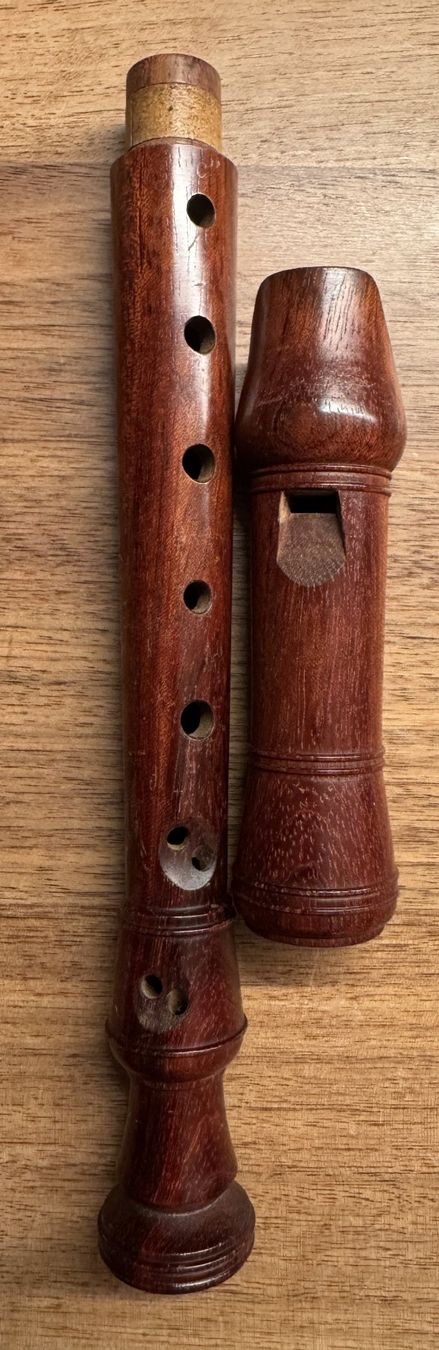 Strumenti musicali: Blockflöte von Küng Palisander – Usato da Ebikon venduto da Gonigo 1