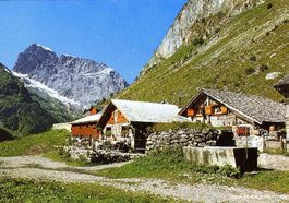 Engelberg - Stäfeli mit Titlis + c1970