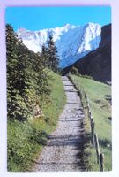 Grindelwald, Weg nach Bäregg-Stieregg