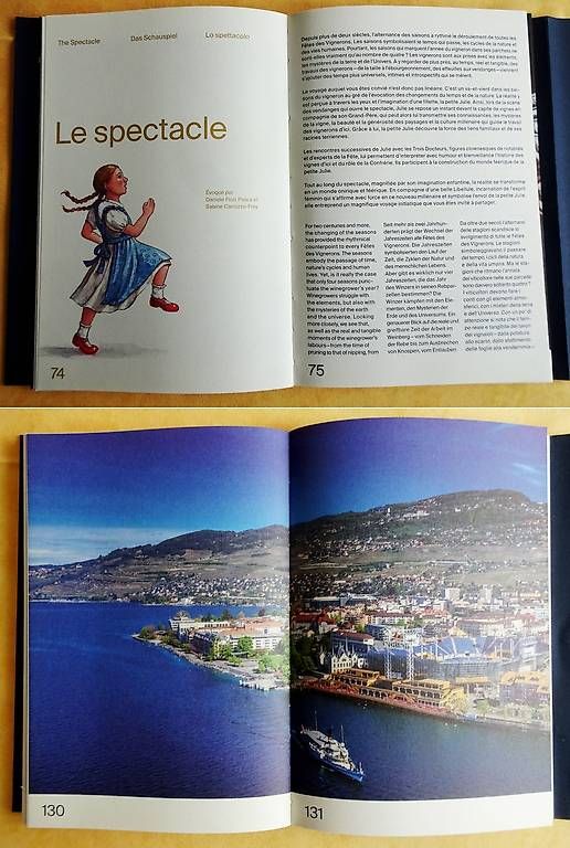 Libri: Fête des Vigeneros 2019 - Spectacle / Programm – Usato da Bern venduto da janosh-08 2