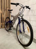 Velo Mountainbike, California, Raver V20