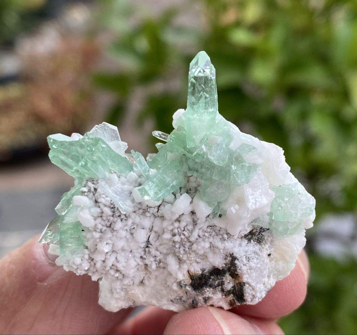 Mineralien & Heilsteine: Wunderschöne Apophyllit Stufe Indien  – Gebraucht aus Selzach von 321compac 9