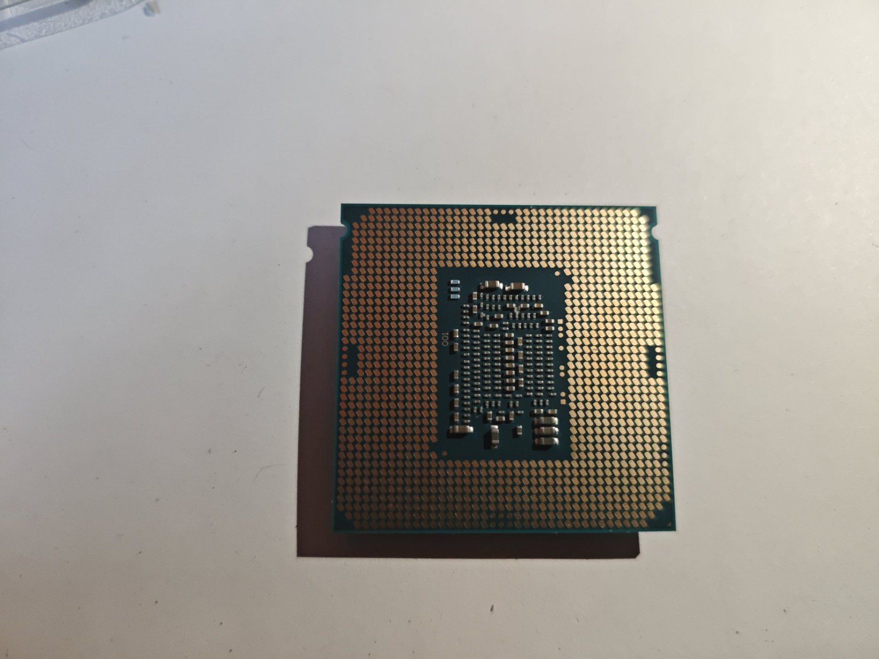 Intel Componenti elettronici: Intel Xeon E3-1220 V5 CPU 3.00 GHz – Usato da Dübendorf venduto da tho_v2cs 2