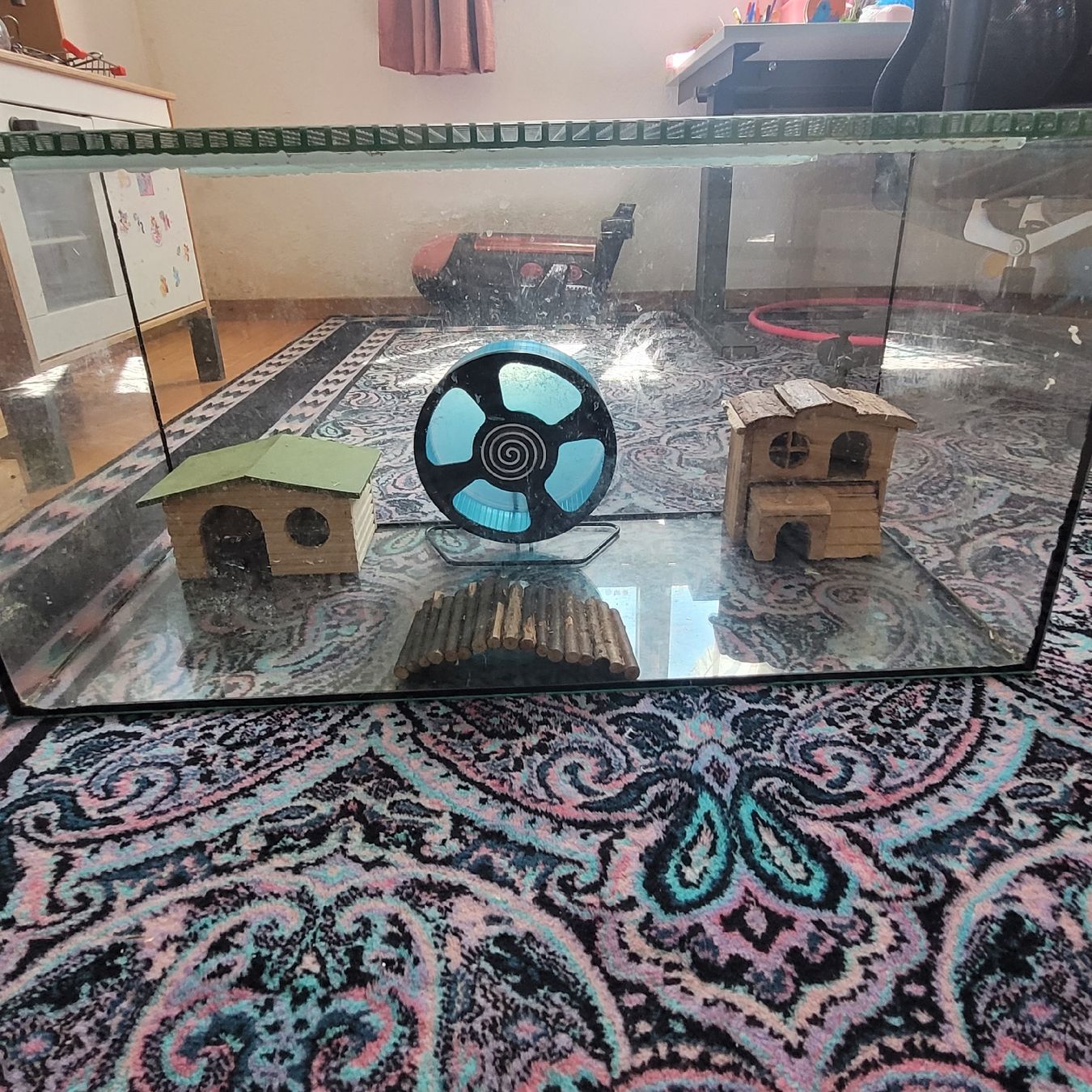 Gabbie, trasporto & Sicurezza: Hamster Nagetier Käfig – Usato da Hausen AG venduto da Bonkers 1