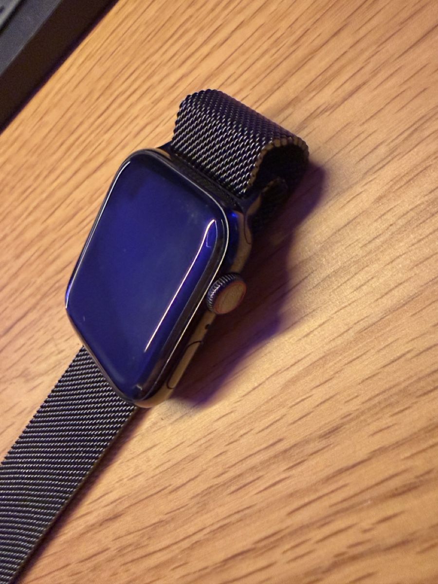 Apple Smartwatch: Apple Watch Series 5 – Usato da Rudolfingen venduto da levinkuendig11 3