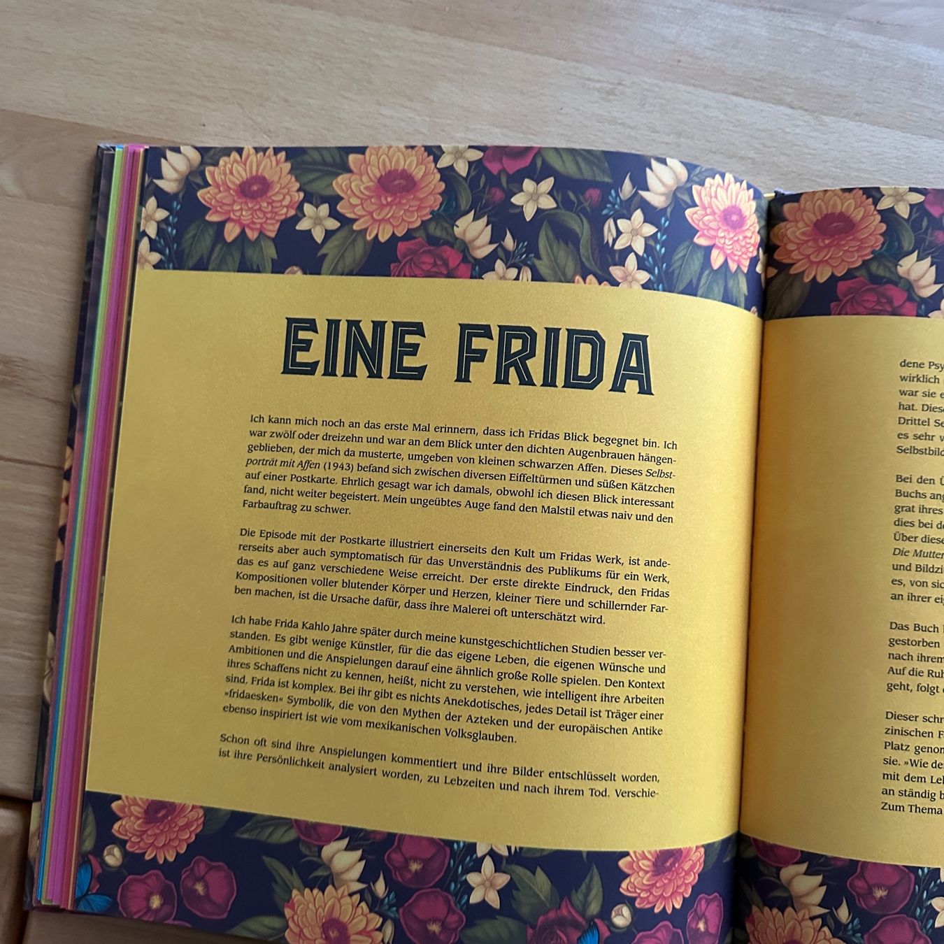 Libri: FRIDA - Benjamin Lacombe, Sébastien Perez – Nuovo (secondo la descrizione) da Sax venduto da kaulquappe01 8