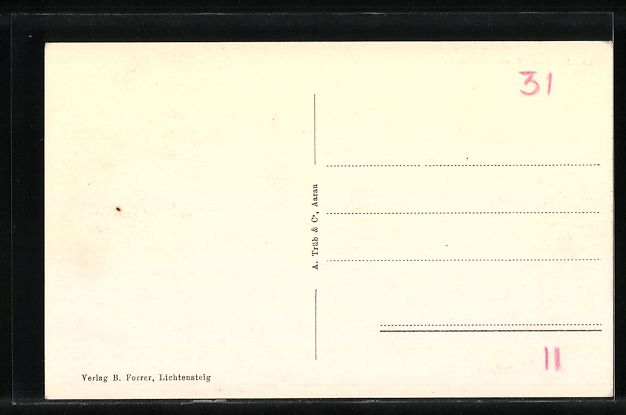 Cartoline postali: AK Lichtensteig, Gesamtansicht – Usato da Berlin venduto da bartko-reher 1