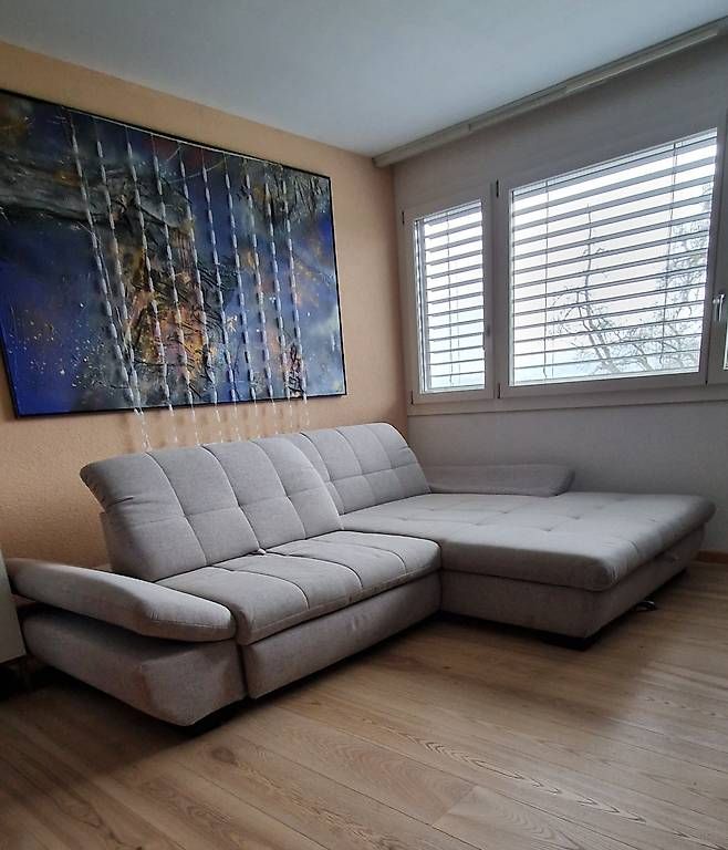 Pfister Divani: Ecksofa Schlafsofa Stoff hellgrau Möbel Pfister – Usato da St. Gallen venduto da Rene123