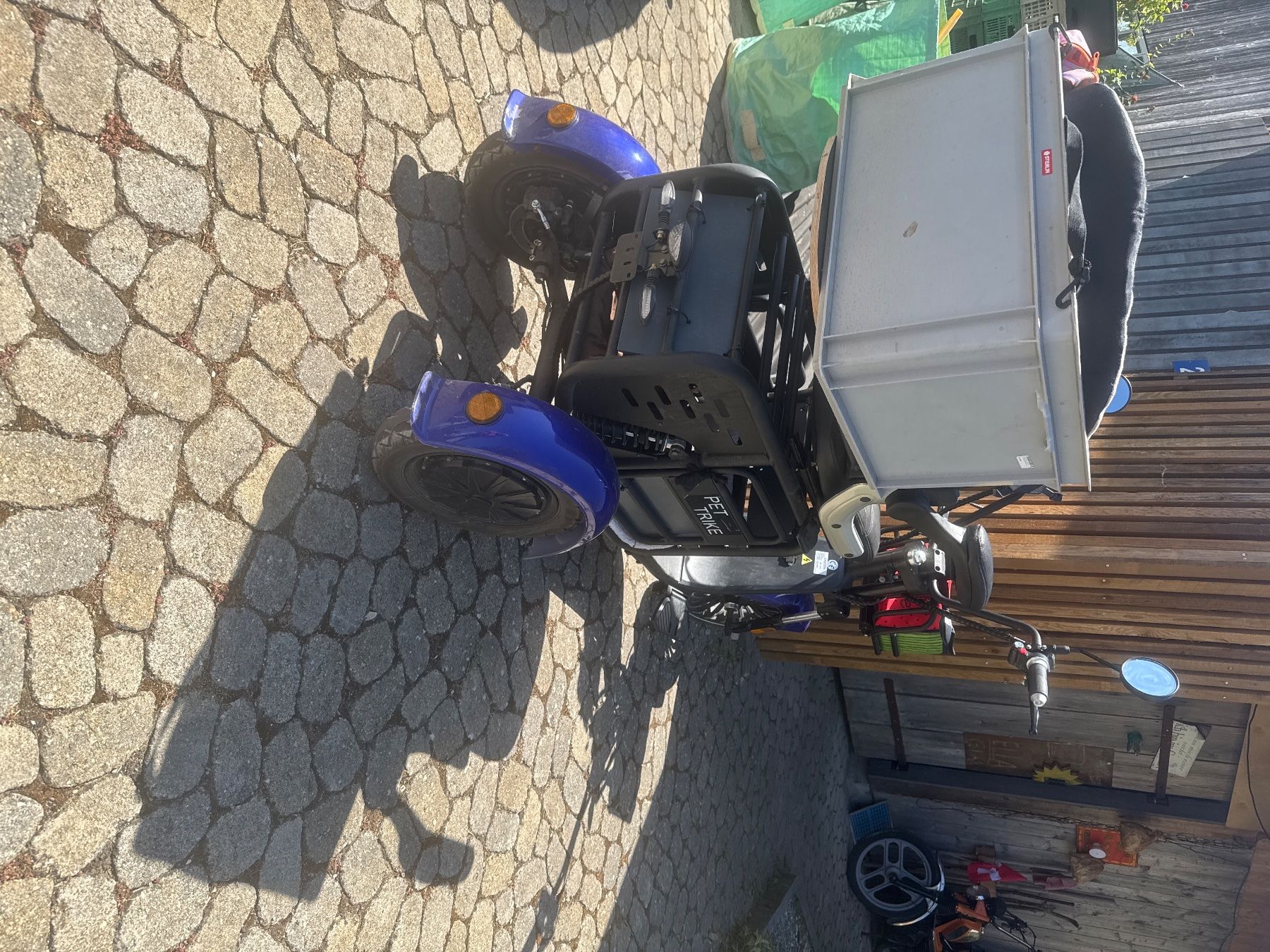 Veicoli elettrici: Pet Trike Elektro – Usato da Hallau venduto da bei_9rdb 1