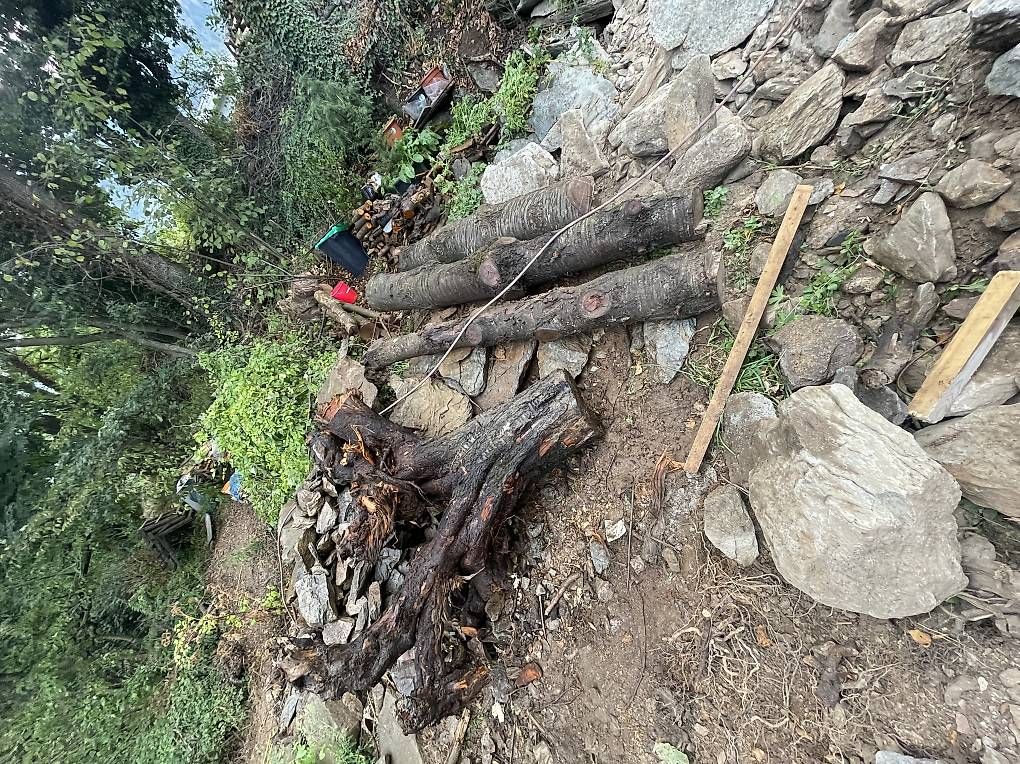 Articoli in legno: Holz Kirsche Baumstämme – Usato da Naters venduto da brunteles 1