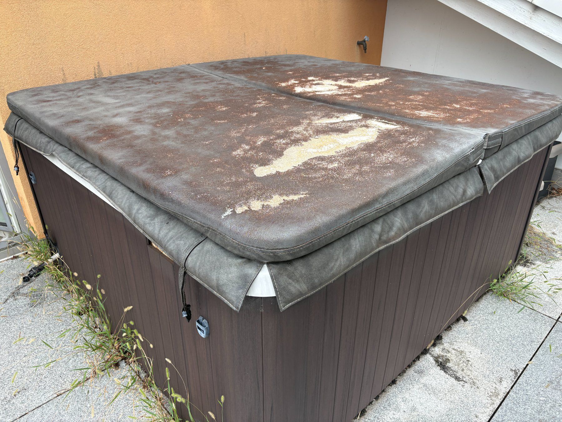 Whirlpool: Jacuzzi Maax Spas Vita Elegant – Usato da Beinwil am See venduto da williamchoffman