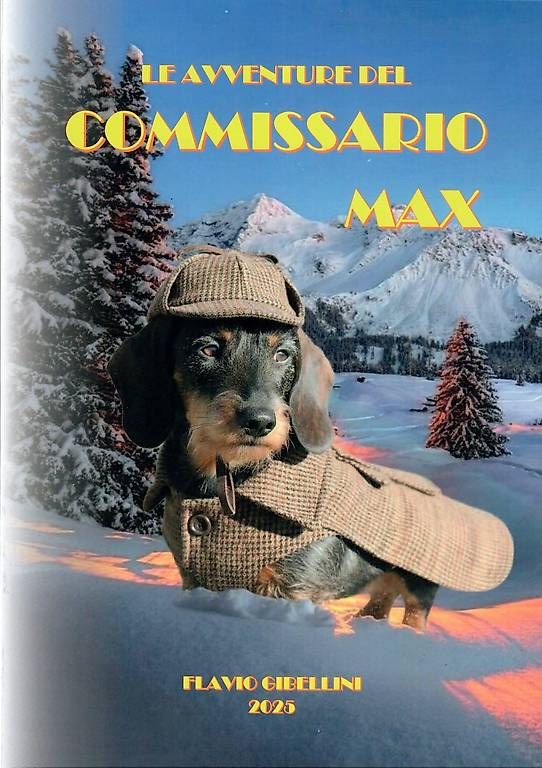 Libri: LE AVVENTURE DEL COMMISSARIO MAX – Usato da Bioggio venduto da gib_sf6s