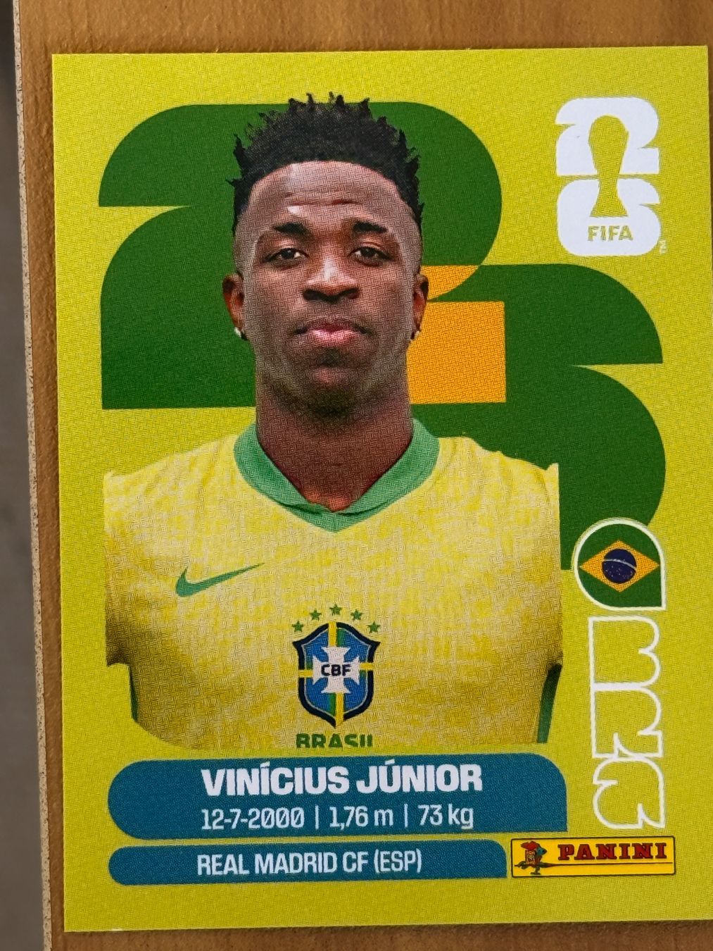 Panini Carte collezionabili: Vinicius – Usato da bülach venduto da liridon_ar