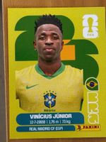 Vinicius