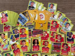 Panini Sticker circa 200 Stickers!!!!!
