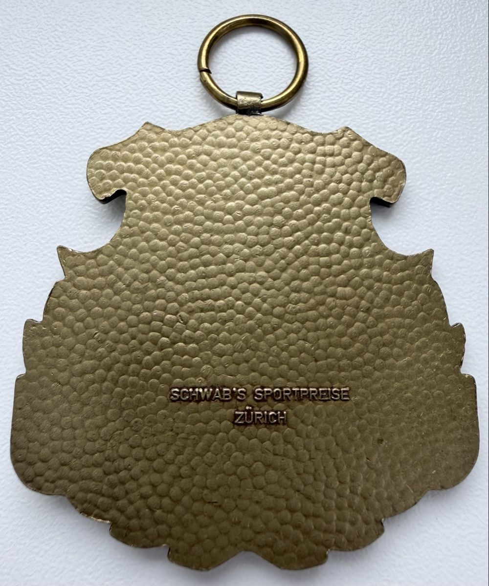 Medaglie: Schöne Medaille Schloss St. Andreas Cham Wappen Emaille – Usato da Sissach venduto da Valeriika 1