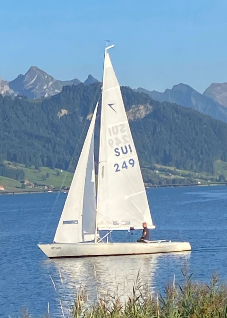 Barche: Segelboot Haag Dyas mit Bootstrailer – Usato da Richterswil venduto da Blue210