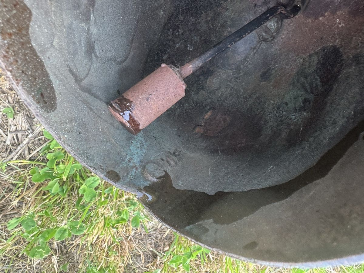 Campanacci mucche: Sonnette  Alpine 11 avec belle courroie  – Usato da Penthalaz venduto da Antique93 4