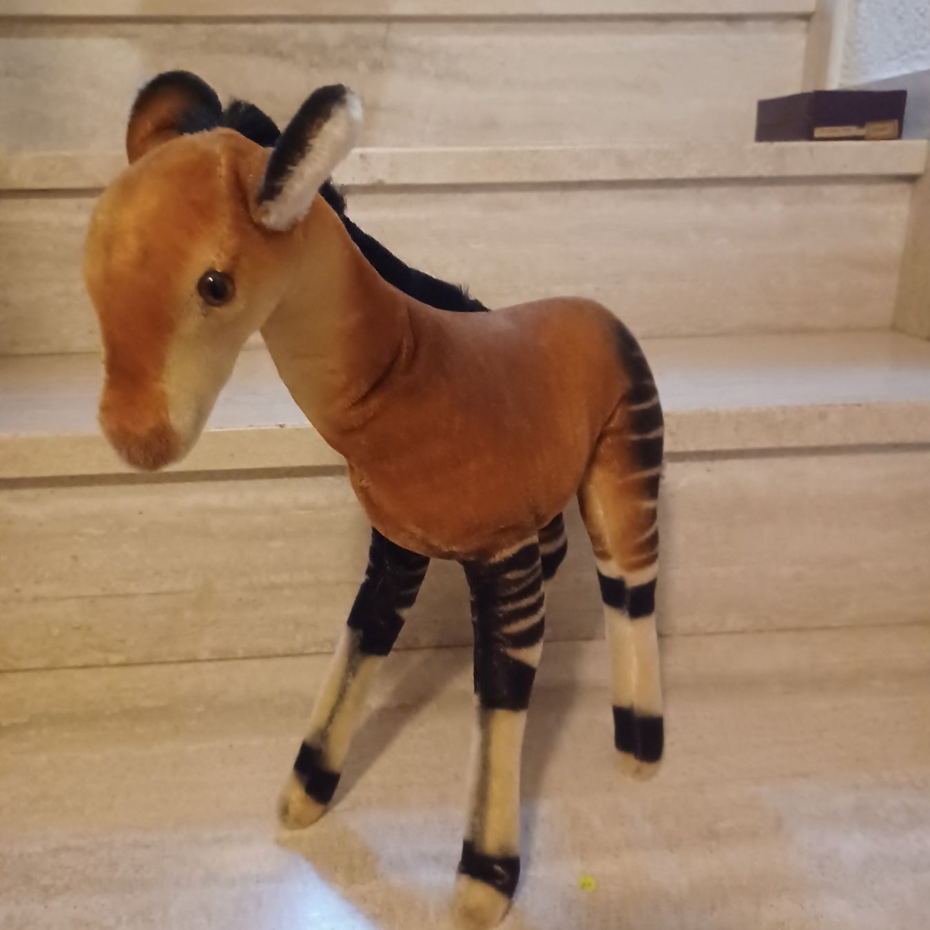 Steiff Giocattoli: seltenes grosses Steiff Okapi43 cm um 1960 – Usato da Abtwil SG venduto da luupsy 1