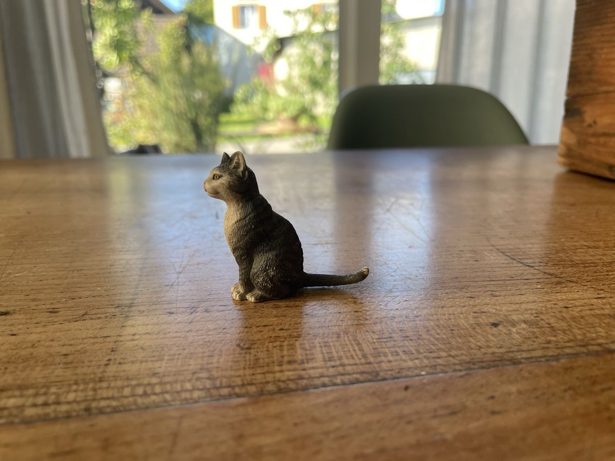 Schleich Jouets: Schleich Katze – D'occasion à Bonstetten par soleillle 2