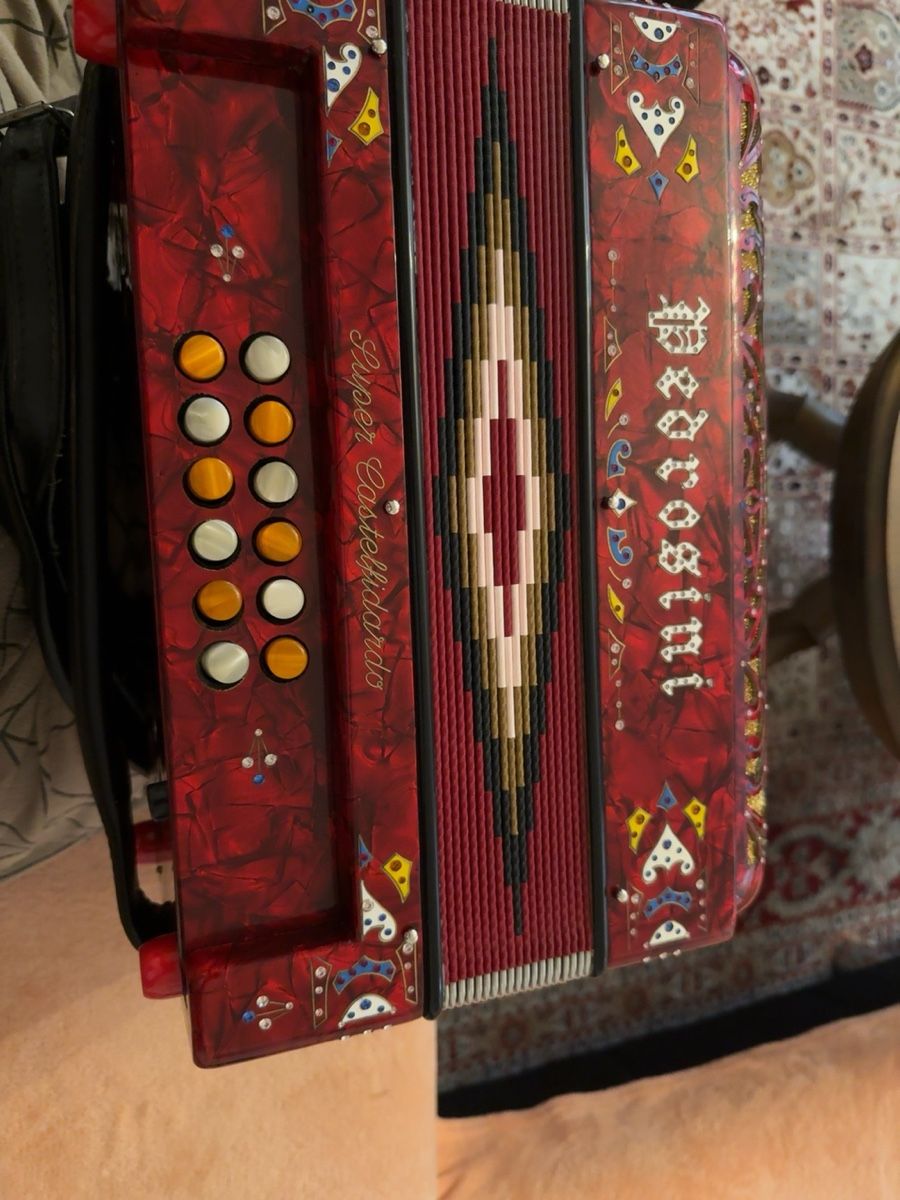 Strumenti musicali: Pedrosini Super Castelfidardo, Örgeli mit Koffer – Usato da Altendorf venduto da ally27 4