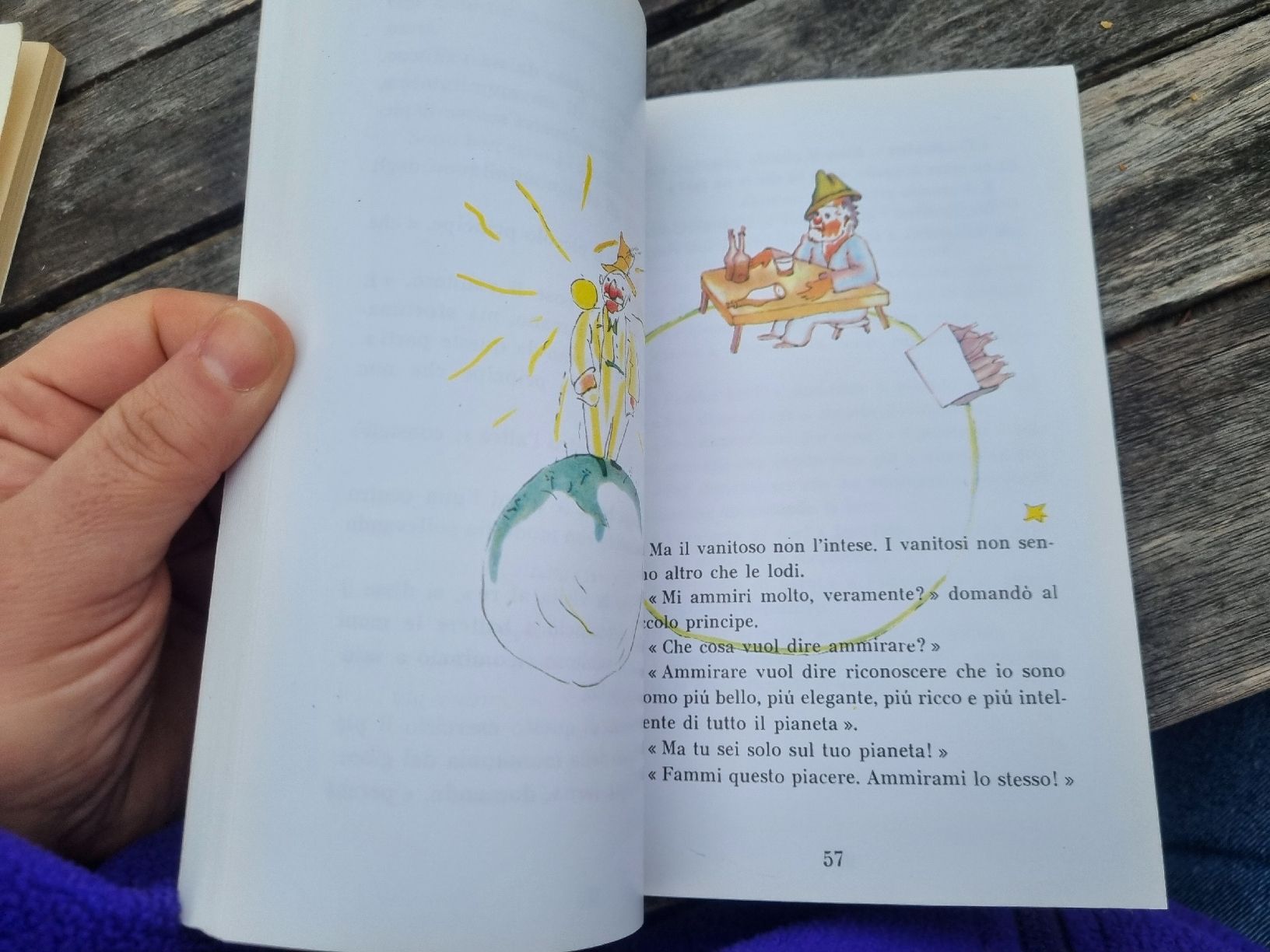 Libri: Il Piccolo Principe, Antoine de Saint-Exupé – Usato da Fribourg venduto da sal_5ln6 8