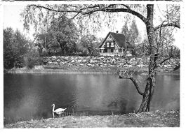 Amriswil  Weyerhüsli