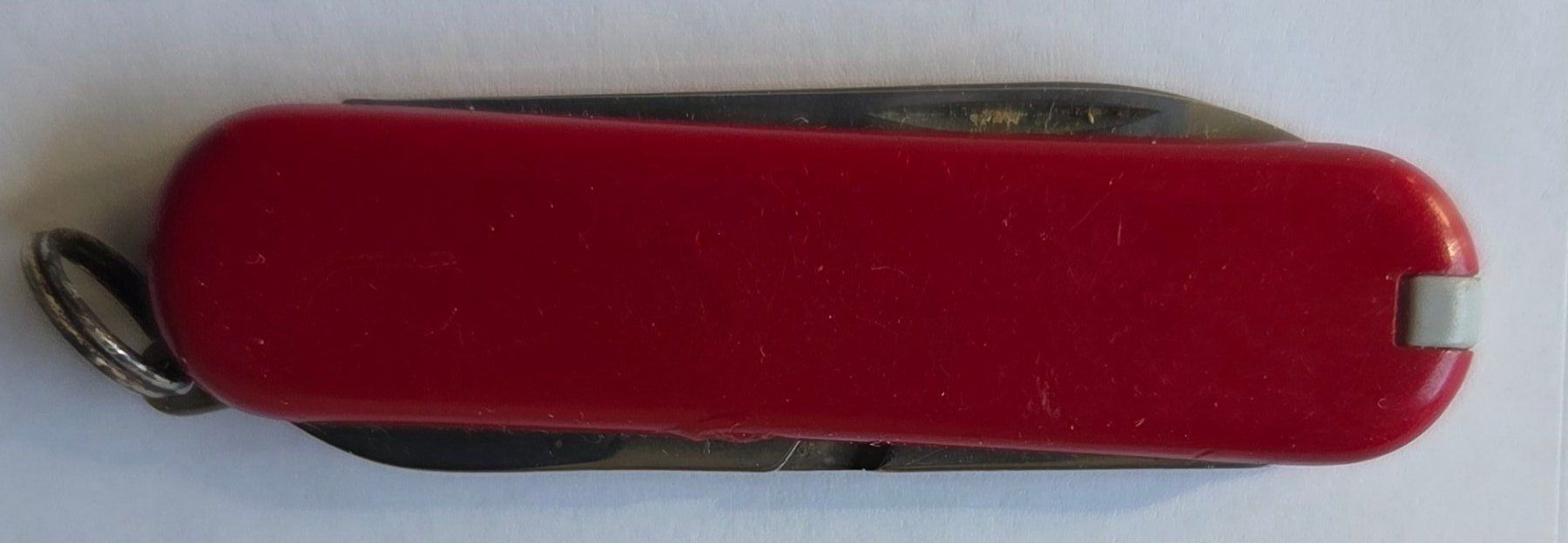 Victorinox Coltelli tascabile: Victorinox Classic LEUCO – Usato da Gossau SG venduto da tenerife11 1