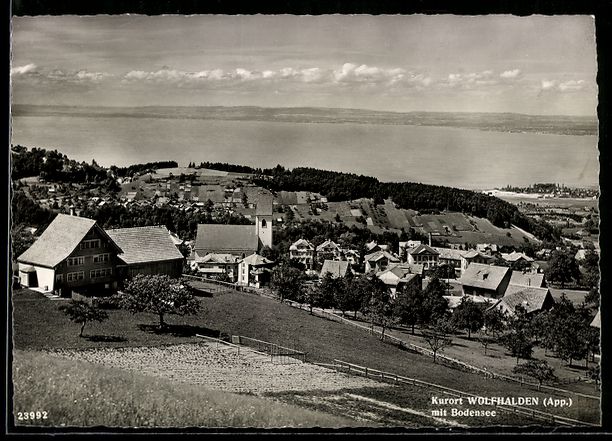 Cartoline postali: AK Wolfhalden /App., Panorama mit Bodensee – Usato da Berlin venduto da bartko-reher