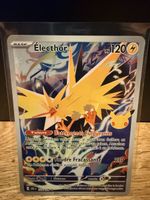 🇫🇷Electhor 30th