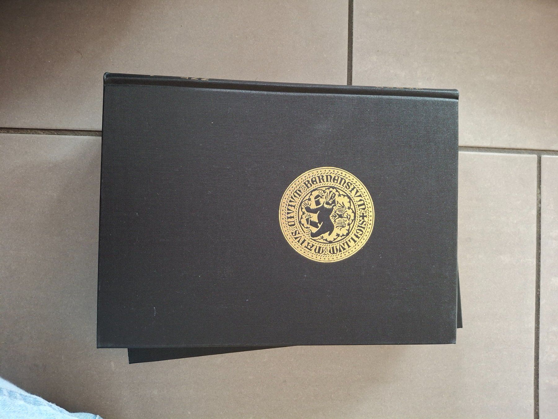 Libri: Kanton Bern 4, Münster – Usato da Oberbuchsiten venduto da nat_gqs7