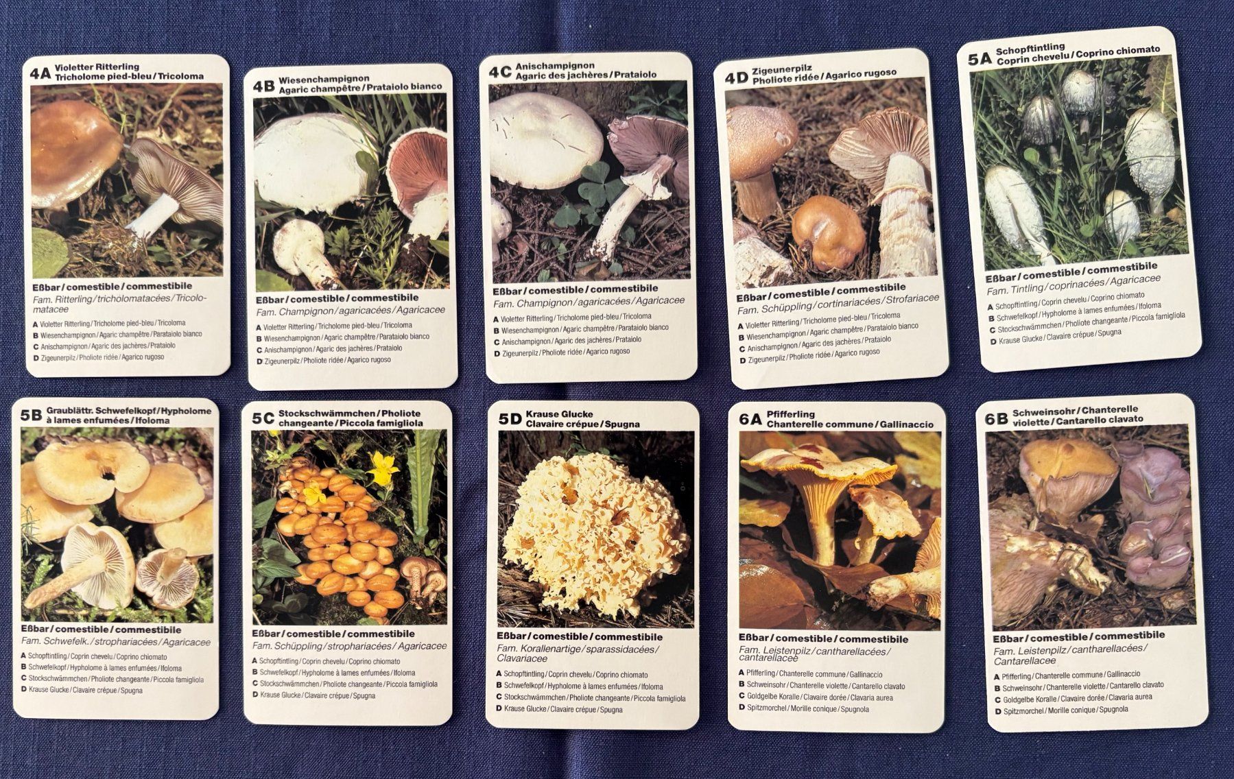 Spiele: QUARTETT PILZE – Gebraucht aus Ostermundigen von wini63 2