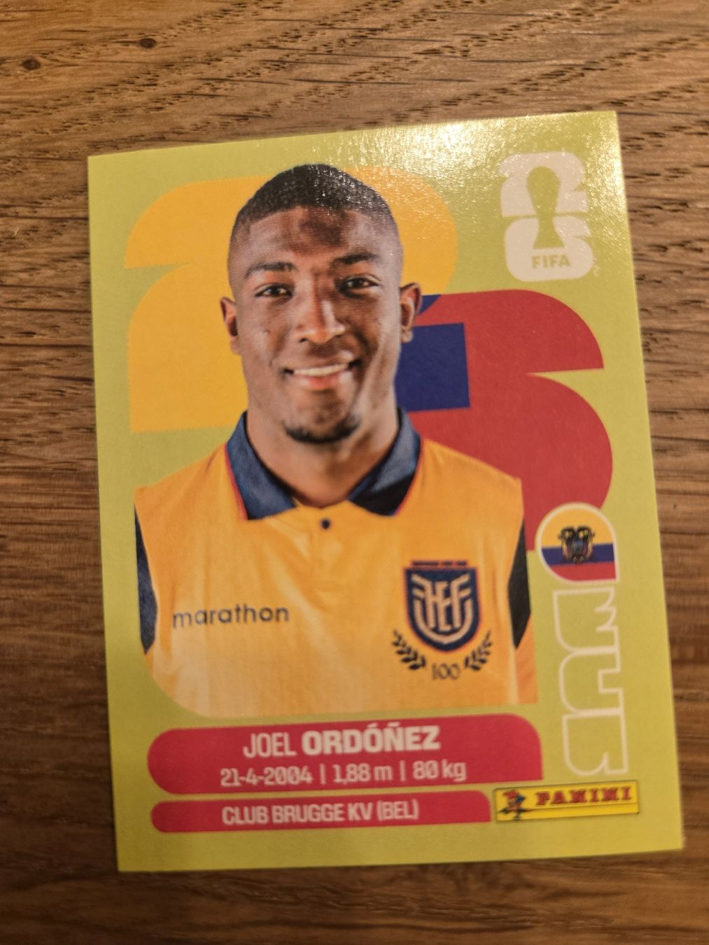 Panini Carte collezionabili: Panini Sticker 2026 ECU 8 – Nuovo (secondo la descrizione) da Luzern venduto da .Skylake.