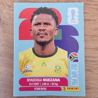 Panini Sivabonga Ngezana RSA8 