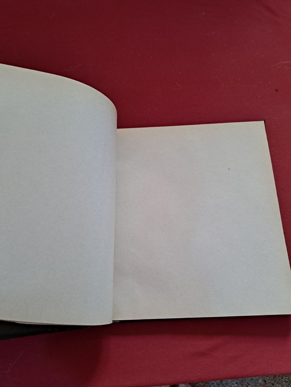 Libri: Notizbuch – Nuovo (secondo la descrizione) da magden venduto da cam_w2ff 1