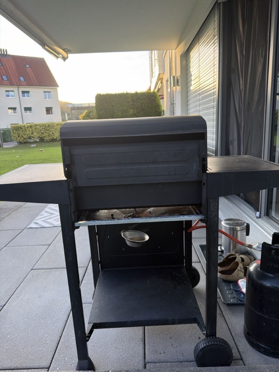 Griglie: Ohmex Grill  – Usato da Birmensdorf ZH venduto da mirecpa 2
